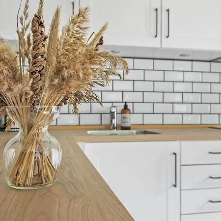 0419-romo-klyden-19 Dom wakacyjny *